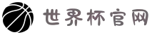 2026世界杯官网：一站式见证,从小组赛到决赛
